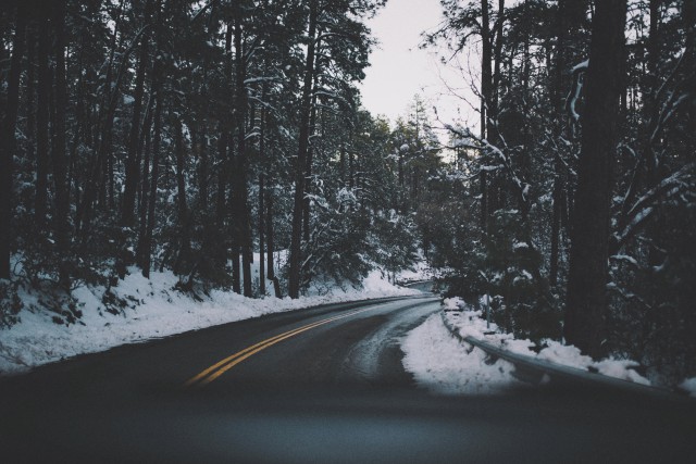 عکس جاده برفی زمستانی با درختان بلند و زیبا
