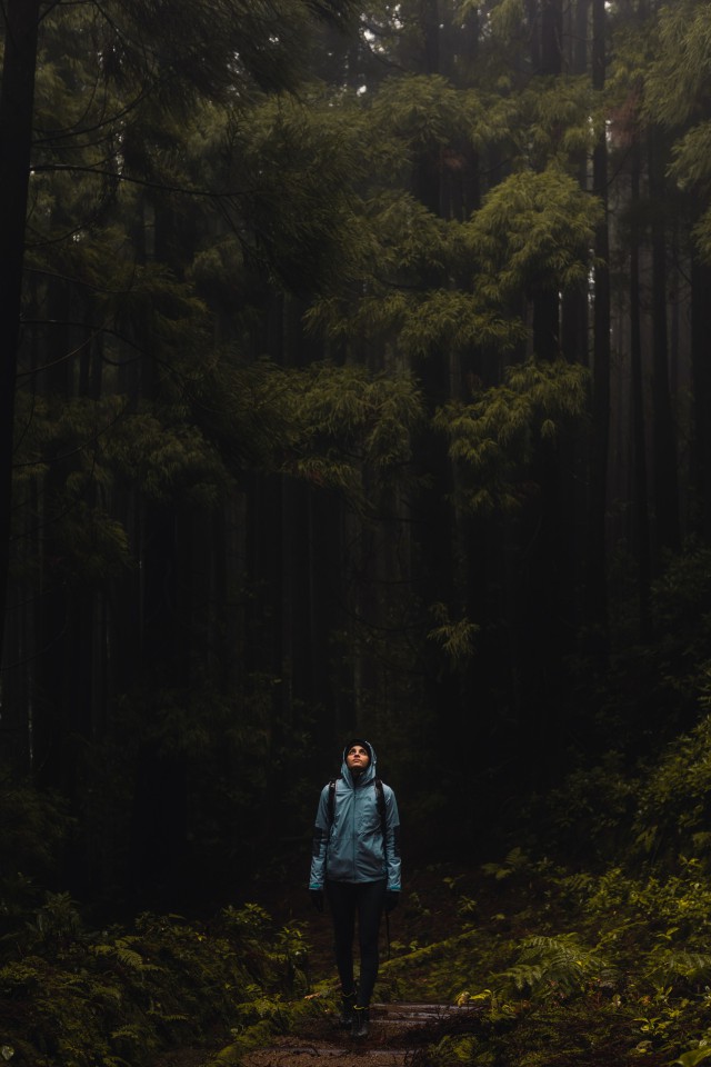 دانلود عکس پسر تنها در جنگل