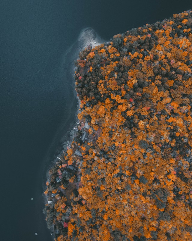 دانلود عکس هوایی جنگل و دریا کنار هم