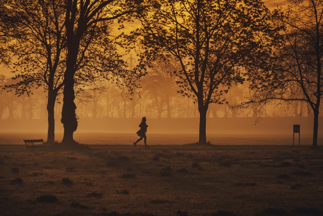 دانلود عکس دویدن دختر در جنگل