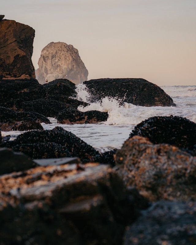 دانلود عکس برخورد موج به صخره در آب