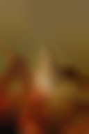 دانلود عکس والپیپر ملخ از نزدیک فوکوس شده
