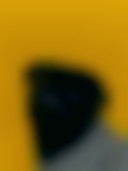دانلود عکس سگ خارجی سیاه با پس ضمینه زرد