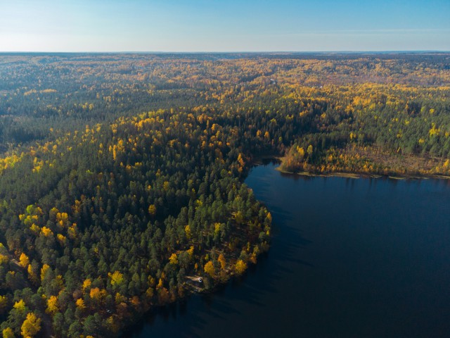 دانلود عکس هوایی از جنگل و دریا