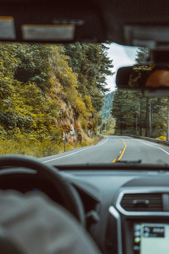 دانلود عکس رانندگی کردن در جاده جنگلی