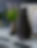 دانلود عکس گربه خانگی زیبا برای والپیپر موبایل با کیفیت عالی