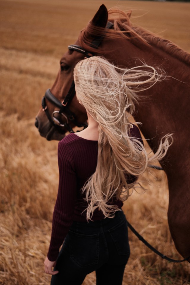 دانلود عکس دختر کنار اسب