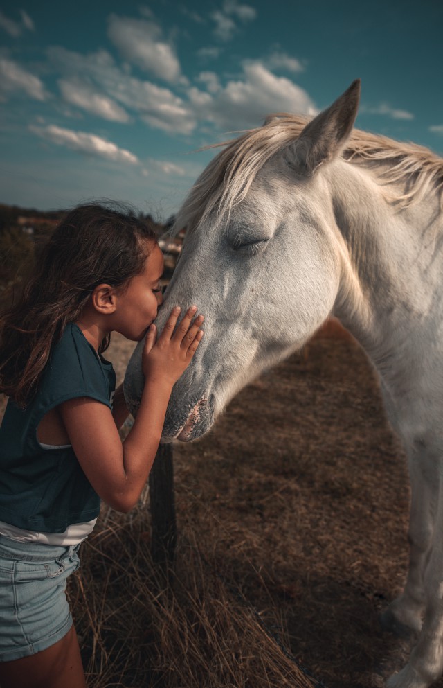 دانلود عکس بوسیدن چهره اسب توسط دختر بچه