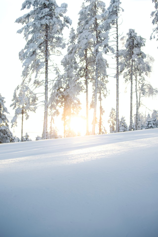 دانلود عکس طلوع آفتاب در یک روز برفی با کیفیت عالی