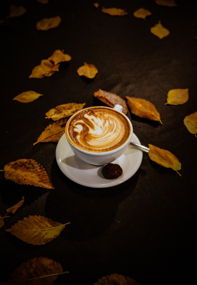 دانلود عکس فنجان قهوه بین برگ های پاییزی (کیفیت عالی)