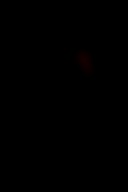 دانلود عکس بدنی فیتنسی در فضای تاریک کیفیت FULL HD