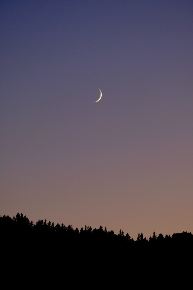 دانلود عکس منظره ماه بر فراز آسمان جنگل با کیفیت (Full HD)