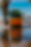دانلود عکس ون نارنجی کنار ساحل