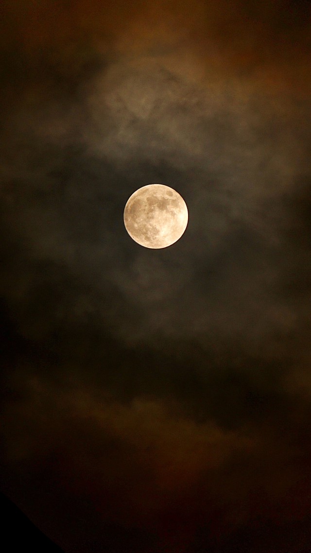 دانلود عکس ماه کامل در شب با کیفیت عالی